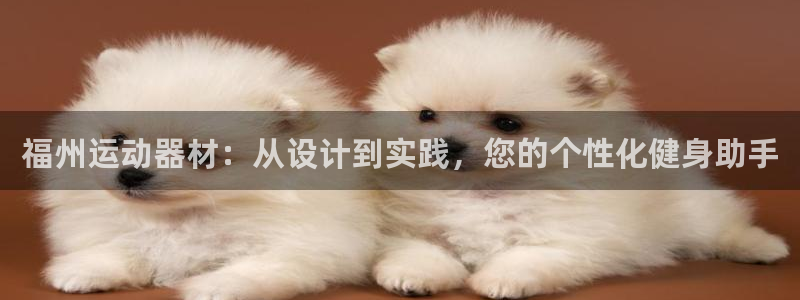 熊猫体育官网下载招商电话号码是多少啊：福州运动器材：从设计到