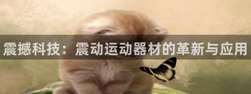 熊猫体育官网下载联系电话：震撼科技：震动运动器材的革新与应用