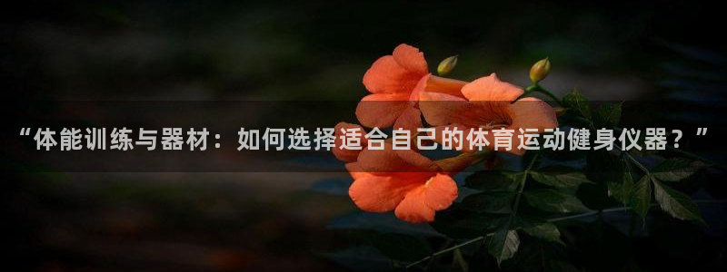 xc体育