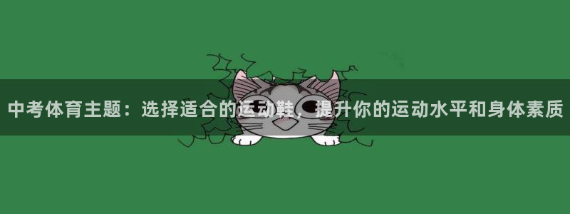 xc体育