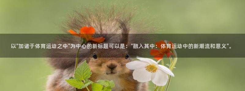 xc体育app官方网站