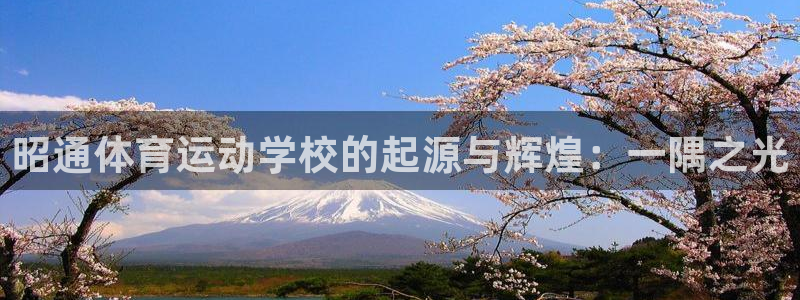 xc体育app官方网站