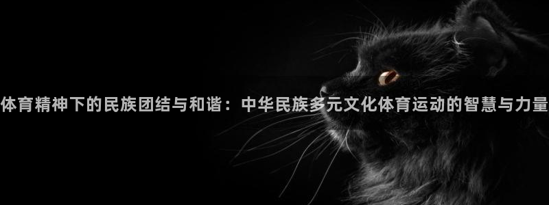 xc体育app官方网站
