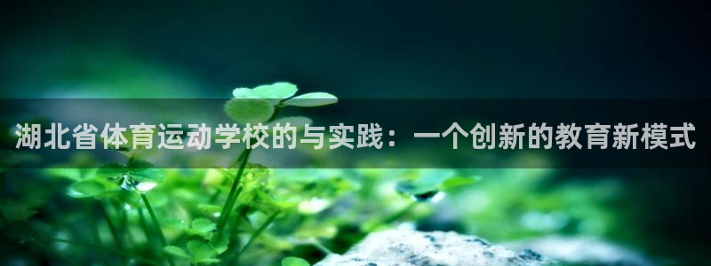 xc体育app官方网站
