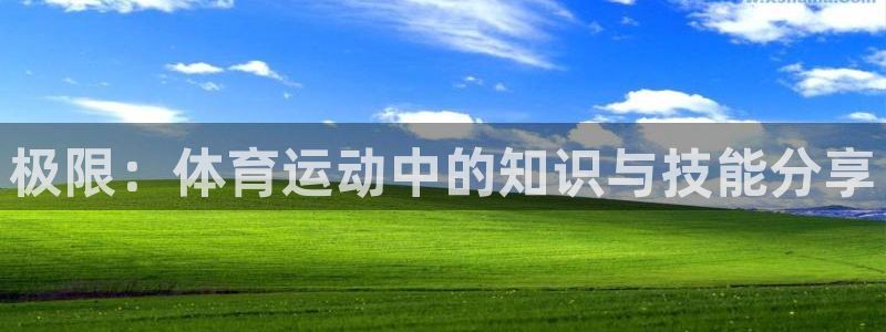 xc体育