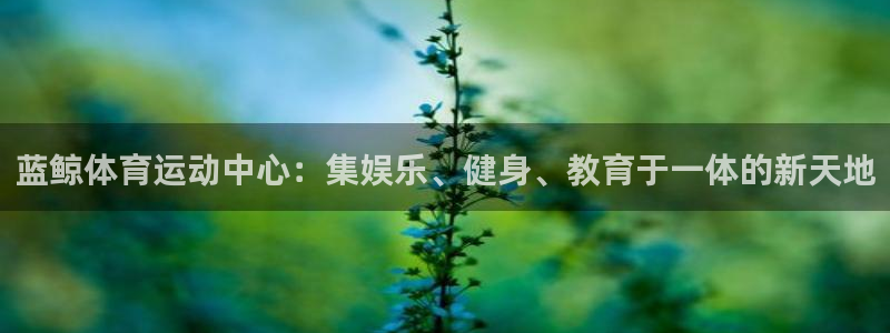 xc体育