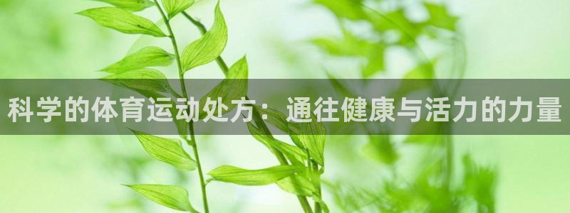 xc体育app官方网站