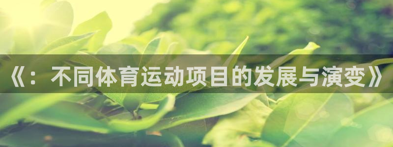 xc体育app官方网站