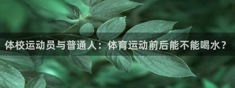 xc体育