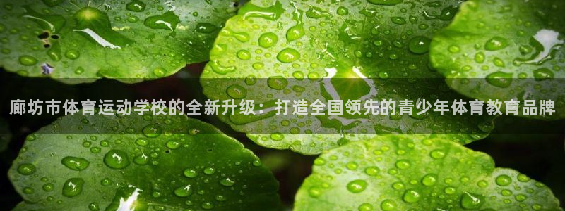 xc体育app官方网站