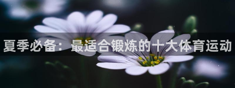xc体育app官方网站