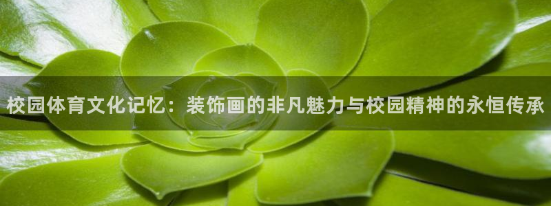 xc体育