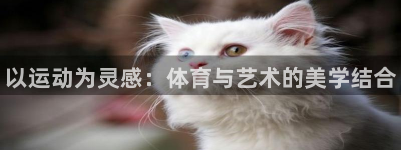 xc体育app官方网站