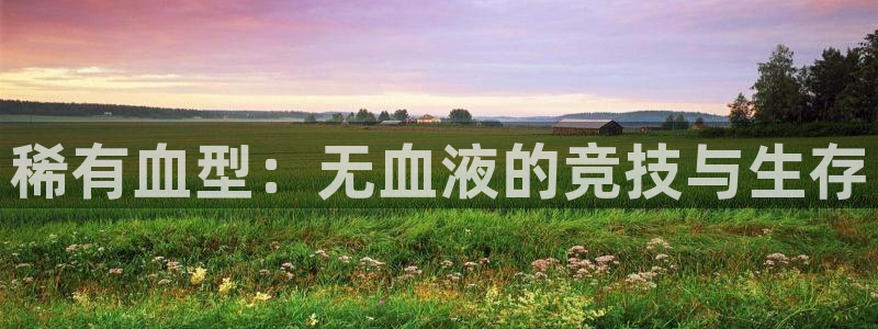 xc体育
